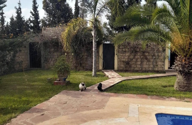 Riad Tanjil
