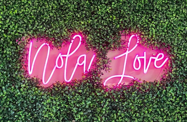 River View Luxury with Heated Pool & Take Ferry to French Quarter