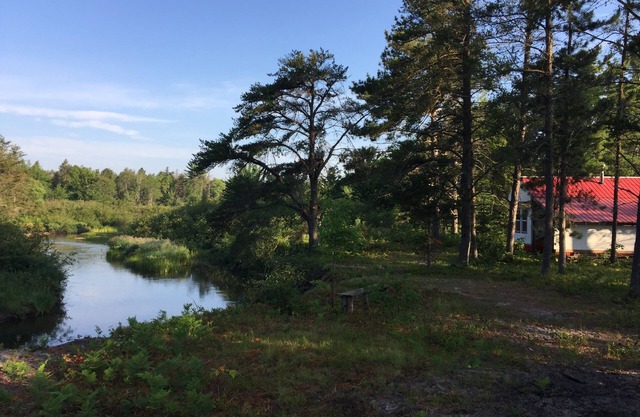 Rivers Edge/Off Grid/Bird Watching Summer Paradise