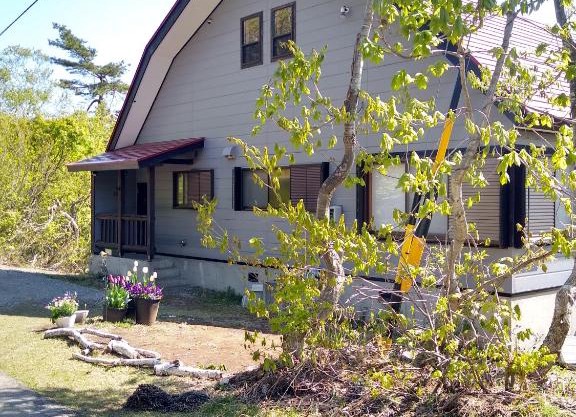 Robin's Lodge