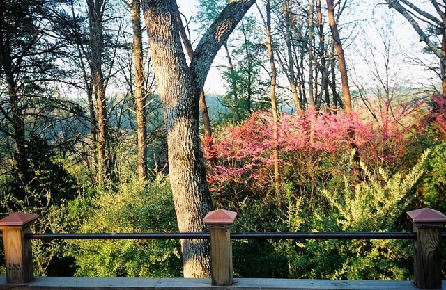 Romantic 1860s Log Cabin
