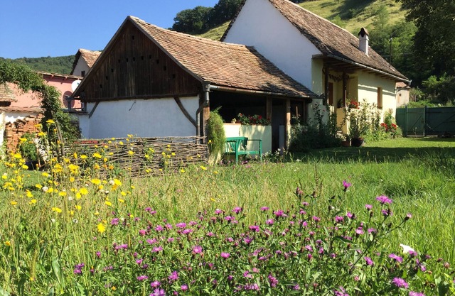 Romantic farmhouse in Transylvania
