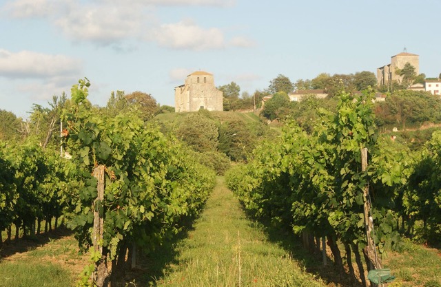 Romantic Gite & own pool, on hillside nr Saint Emilion with stunning panoramas