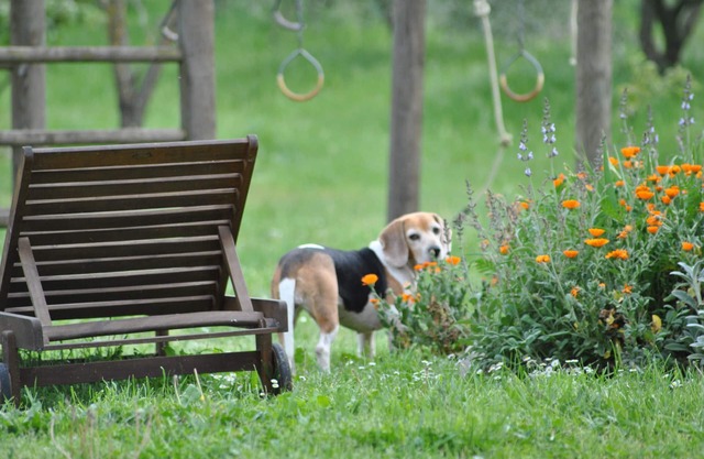 Romantic hideout in beautiful surroundings