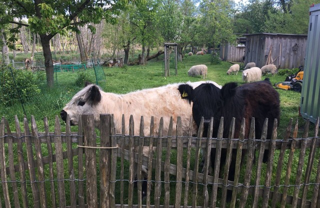 Romantisches Versteck II