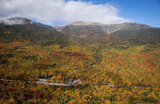 Room, 4 Bunks, Shared Bathrooms