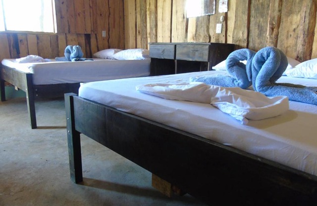 Room in BB - Hotel El Tesoro de Sir, Drake Bay