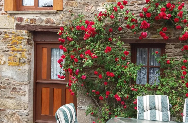 Rose gite Le Cosquer St Connec