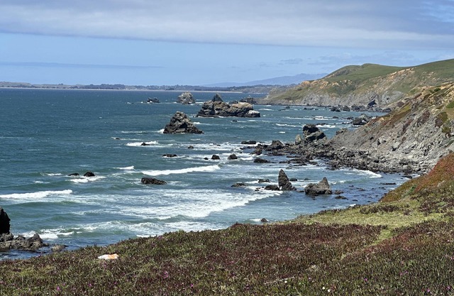 Rustic Oceanfront Cabin