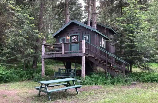 Rustic Treehouse Cabin on Green Bluff!