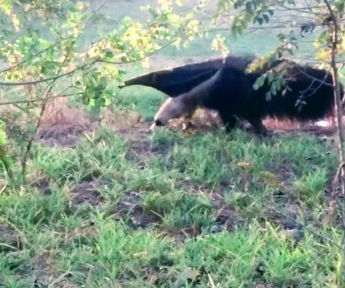 Sítio Santo Reis - Paraíso das Águas