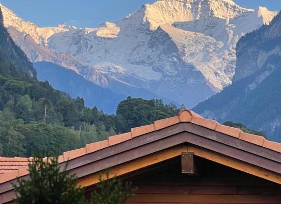 S&P Mountain View Apartment 2