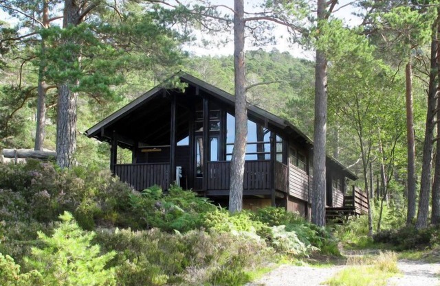 Sandvikfjellet by Interhome