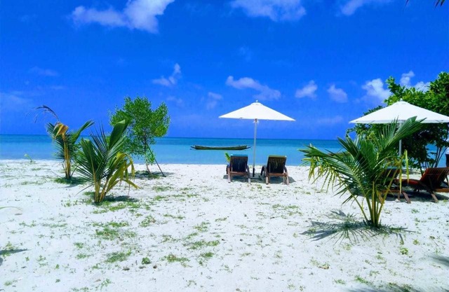 Sandyy Wavess Beach Resort