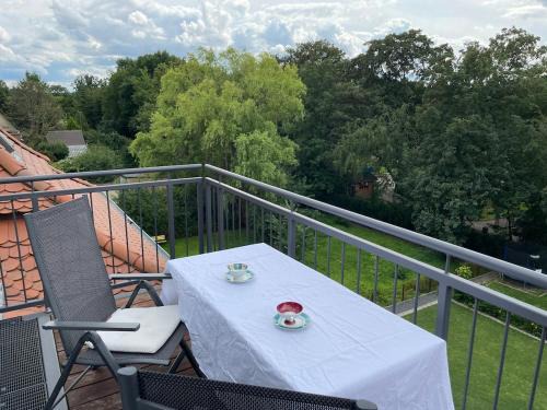 Saniertes Penthouse im Park am Goitzschesee