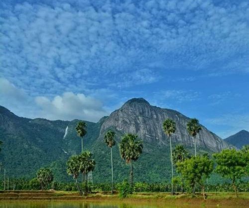 Santhoshinte Farm stay Kollengode
