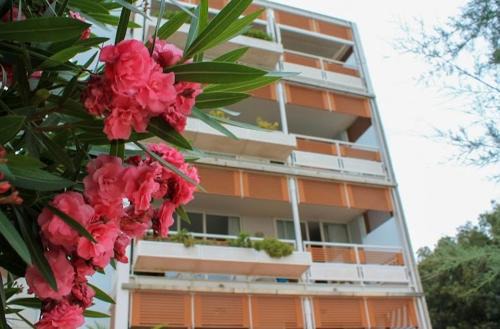 SaporeDiMare - Full Comfort Quiet Apartment with Seaview Rooftop Pool