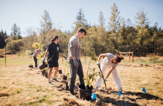 Saturn's Return — Regenerative Farm & Inn – 42 acre campus, fields, and forest