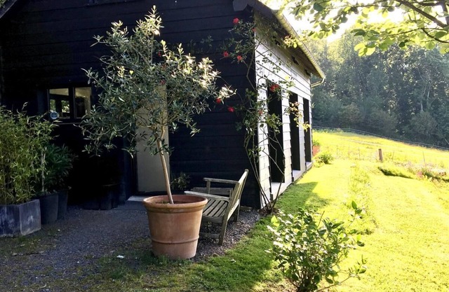 Scandinavian-style house in the middle of greenery