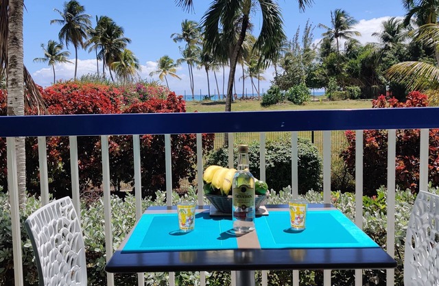 Sea view studio 30m from the beach. A real island fragrance