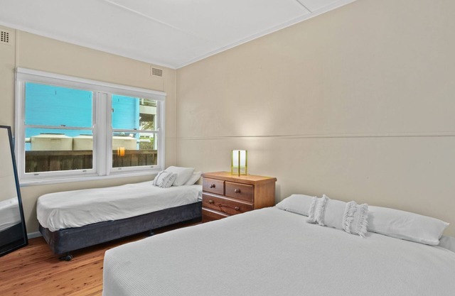 Seashells at North Avoca