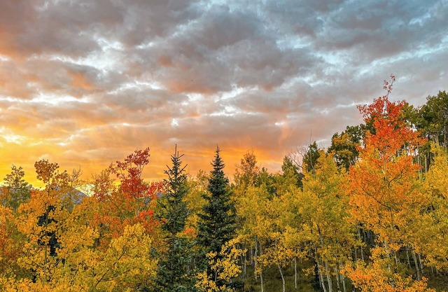 Secluded Aspen Treehouse with Incredible Views