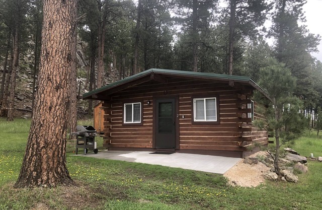 Secluded Cabin in the Heart of the Black Hills