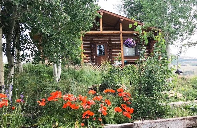 Secluded Cabin w/hottub, petfriendly, firepit, 20min to town, fish hunt slps 2