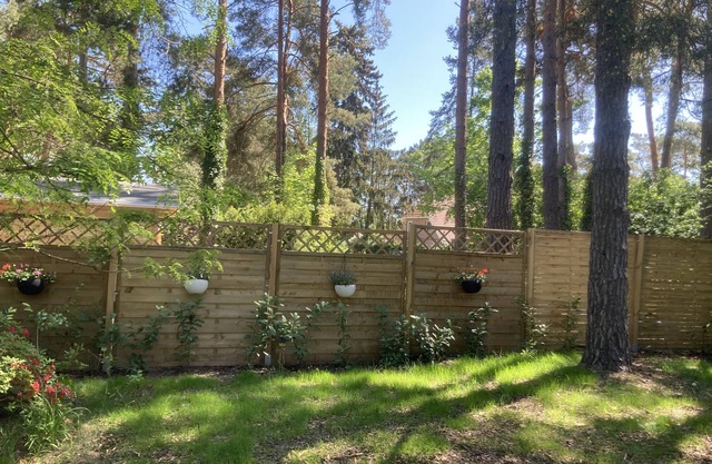 Secluded natural woodland plot near the lake