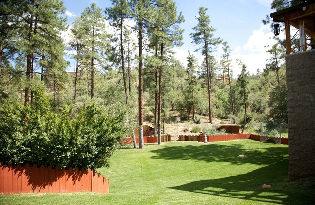 Secluded on 9 acres Beautiful 6,000+ Sq. Ft. Cabin, 6 Bd 4.25 Bath