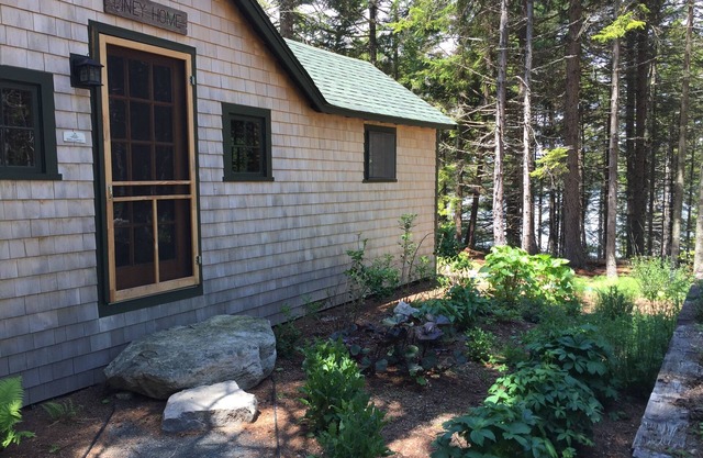 Secluded Saltwater Cabin "Piney Home"