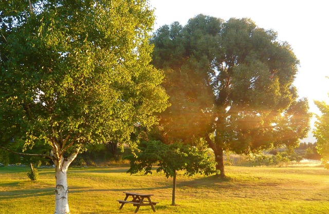 Secluded Sanctuary near Wanaka, Mtn Setting, Stunning Views
