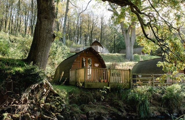 Secluded Woodland Cabin in North Cumbria