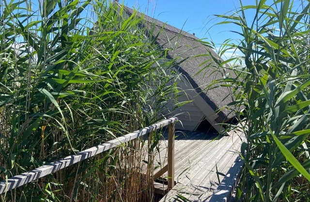 Seehütte Neusiedlersee - Waterfront 2