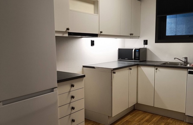 Sentral Leilighet ved nye Sykehuset. Gåtur til Universitet og 3 Sverd i Fjell