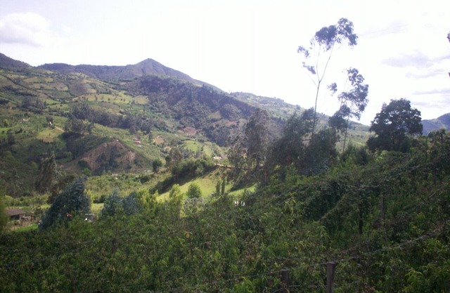 Serene 3-bedroom house in Nuevo Colón with stunning views