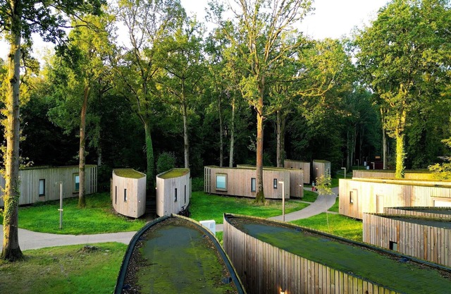 Serene Forest Getaway