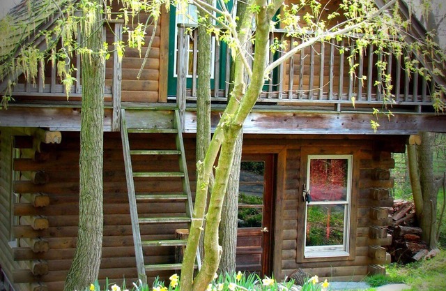 Serene Log Cabin Nestled Among the Battlefields