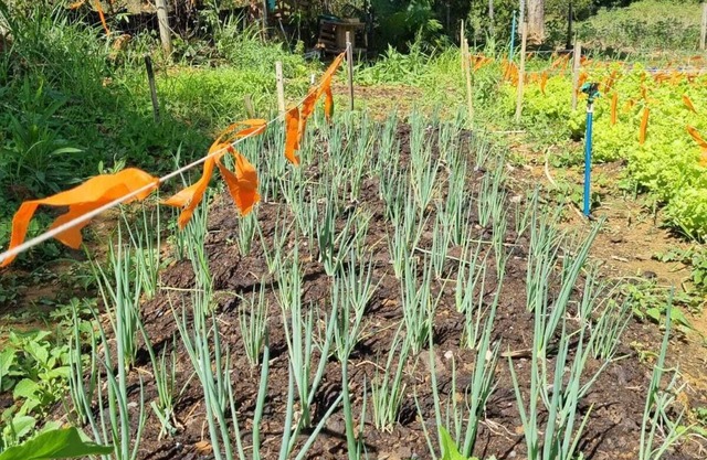 Sertão Veredas Hotel Fazenda