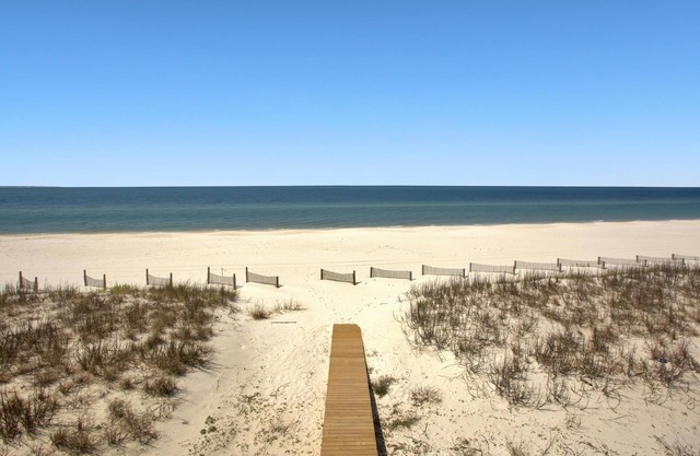 Shore Looks Good
