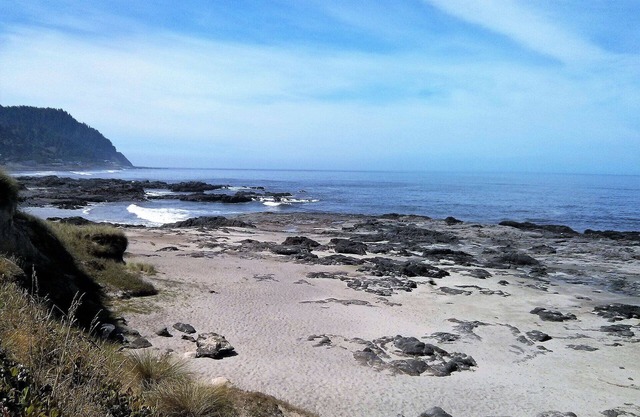 Single level home, near beach. Ultra clean. Great location -Walk to everything!