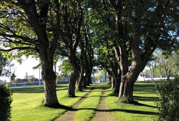 Sjarmerende hus med veldig stort uteareal.