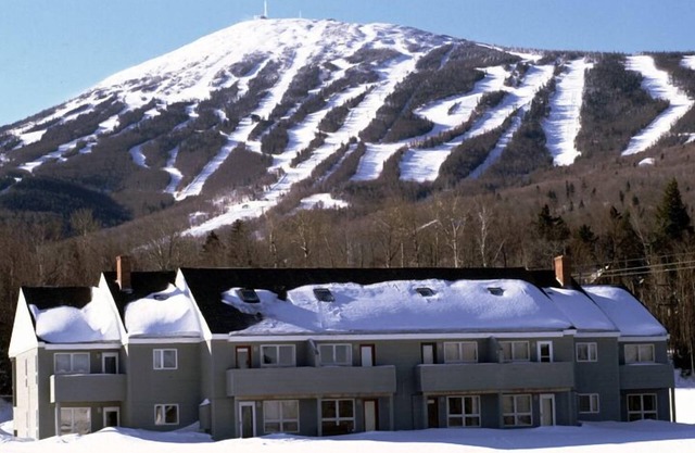 Ski In/Out - 4 bedroom, 3 bath - Sugarloaf Mountain, Snowbrook!