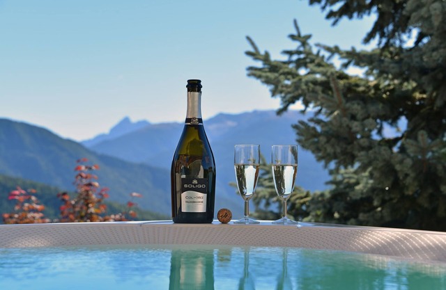 Ski-In /Ski-Out Apartment with Balcony, Sauna, & Jacuzzi; Pets Allowed, Parking Available