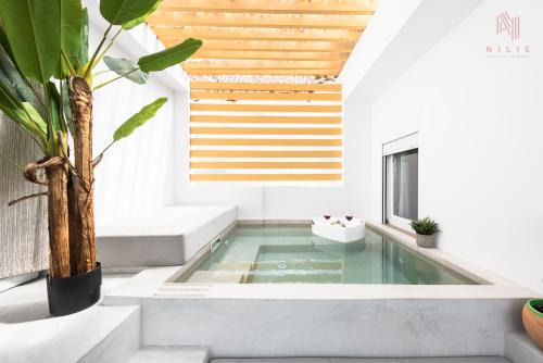 SkyHigh, Nilie Hospitality MGMT