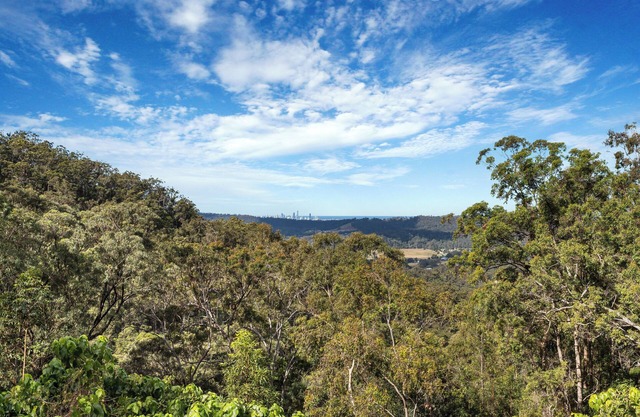 Skyline Serenity Goldcoast -Ocean Views surrounded by nature