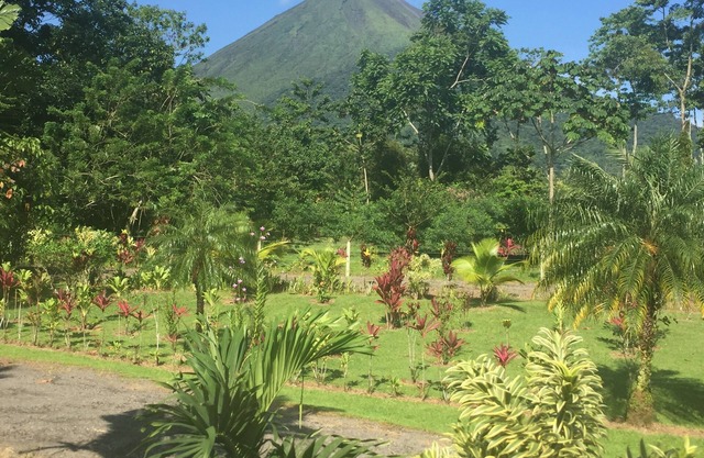 Sleep VIP with Private room with Arenal Volcano views