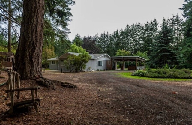 Sleepy Sasquatch Acres