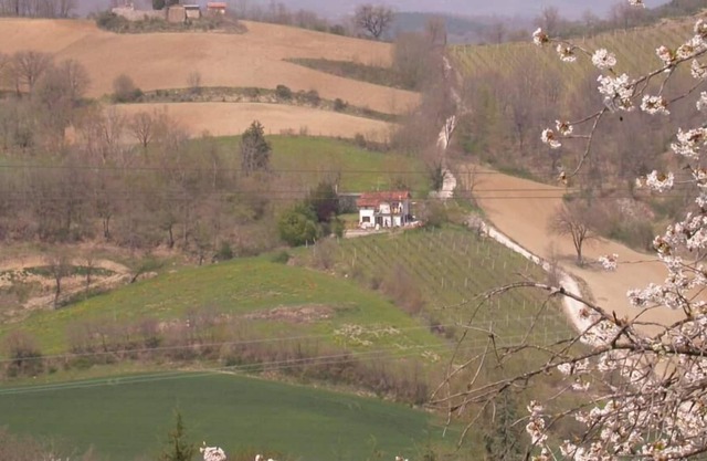 Small Family villa with vineyard. La Stazione