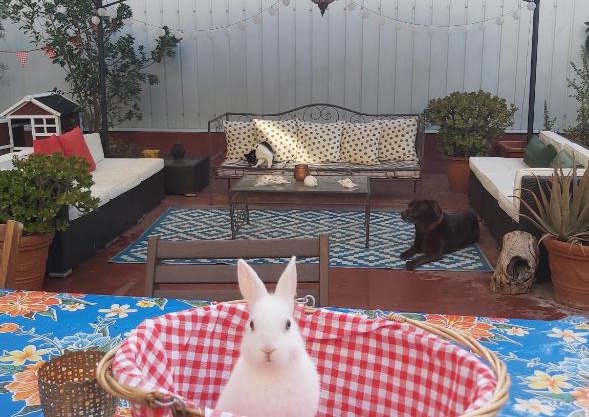 Small room in Sants with huge terrace